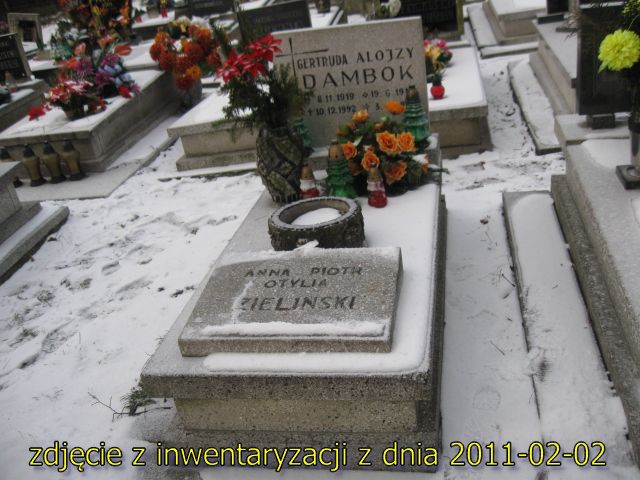 Grób Alojzy Dambok
